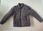Airforce jas, Kleding | Heren, Jassen | Winter, Maat 48/50 (M), Ophalen of Verzenden, Zo goed als nieuw, Airforce