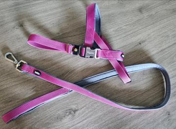 Nobby Classic Preno Royal tuigje met riem (M/L) beschikbaar voor biedingen
