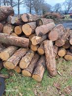 Te koop eiken stammen., Ophalen of Verzenden