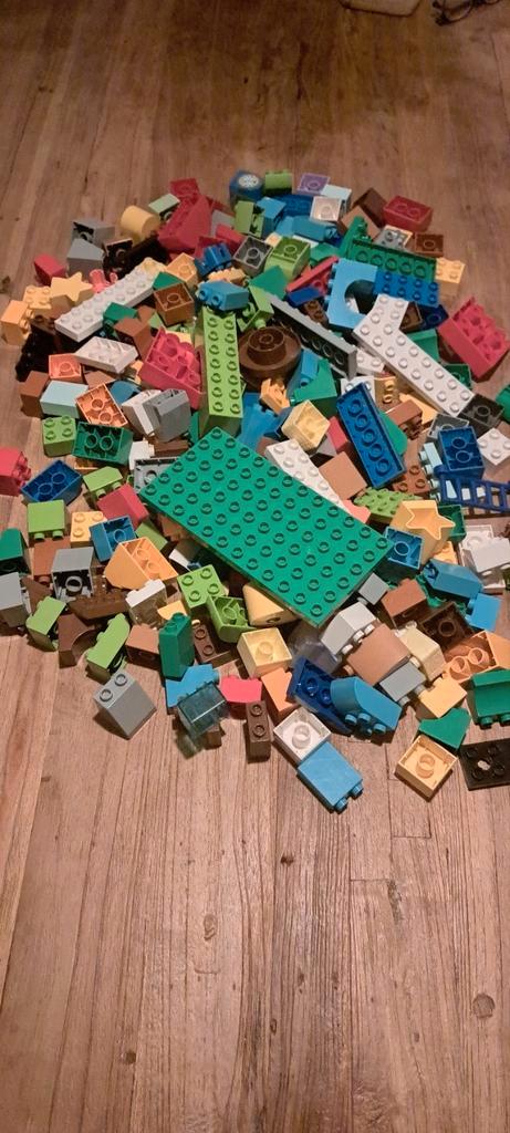 Grote Duplo verzameling: Trein, dieren, voertuigen, 10 kilo, Kinderen en Baby's, Speelgoed | Duplo en Lego, Gebruikt, Duplo, Ophalen of Verzenden