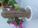 Rattan Riviera Maison  cactus in stenen pot, Huis en Inrichting, Woonaccessoires | Zuilen en Pilaren, Ophalen of Verzenden, Gebruikt