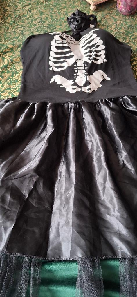 Carnaval Dames kleeding, Carnaval, Maat 42/44 (L), Nieuw, Ophalen of Verzenden