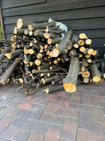 Haardhout, brandhout beschikbaar voor biedingen