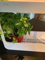 Plantengroeilamp bak wit licht led ophalen, Ophalen, Halfschaduw, Minder dan 100 cm