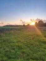 Plek vrij op onze mooie weide, Dieren en Toebehoren, Stalling en Weidegang