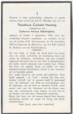 Theodorus C. Hensing 1910 Leiden + 1959 Den Haag, 49 jaar, Verzamelen, Bidprentjes en Rouwkaarten, Verzenden