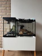 2 keer klein aquarium met benodigdheden, Dieren en Toebehoren, Vissen | Aquaria en Toebehoren, Ophalen of Verzenden, Zo goed als nieuw