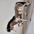 Groot barbie paard, Kinderen en Baby's, Speelgoed | Overig, Ophalen, Gebruikt, Jongen of Meisje