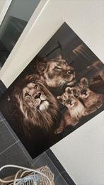 Plexiglas foto schilderij 115 x 70, Huis en Inrichting, Woonaccessoires | Schilderijen, Tekeningen en Foto's, Ophalen, Zo goed als nieuw