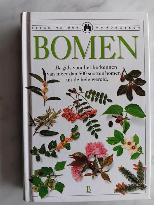 BOMEN Sesam Natuur Handboek door Allen J. Coombes, Boeken, Natuur, Nieuw, Bloemen, Planten en Bomen, Ophalen of Verzenden