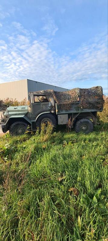 Daf ya 126 (beest) beschikbaar voor biedingen