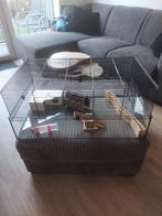 Hamster kooi + toebehoren, Dieren en Toebehoren, Knaagdieren en Konijnen | Hokken en Kooien, Kooi, Gebruikt, Minder dan 75 cm