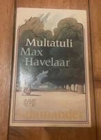 Max Havelaar - Multatuli, Boeken, Ophalen of Verzenden, Zo goed als nieuw, Nederland