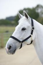 Bucas Halster Dublin Zwart of Zwart-Ziler, maat Cob en Full, Ophalen of Verzenden, Nieuw, Overige soorten