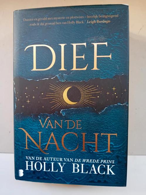 Holly Black - Dief van de nacht, Boeken, Fantasy, Zo goed als nieuw, Verzenden