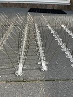 Duivenpinnen 5 pins