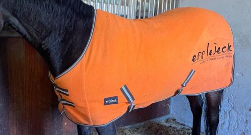Zweetdekens te koop/te ruil, Dieren en Toebehoren, Paarden en Pony's | Dekens en Dekjes, Gebruikt, Deken, Ophalen of Verzenden