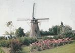 KRABBENDIJKE Molen, Verzenden, 1980 tot heden, Gelopen, Zeeland