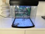 Aquarium, Ophalen of Verzenden, Zo goed als nieuw, Verlichting of Verwarming