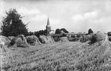 (300-290-003) Beek Panorama beschikbaar voor biedingen