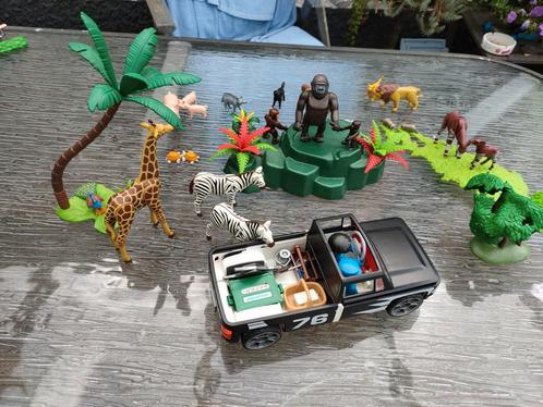 Op safari in het oerwoud, Kinderen en Baby's, Speelgoed | Playmobil, Zo goed als nieuw, Ophalen of Verzenden