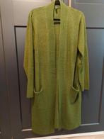 Groen lang vest, Maat 42/44 (L), Ophalen of Verzenden, Zo goed als nieuw, Hema