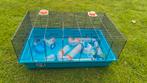 Hamsterkooi, Dieren en Toebehoren, Kooi, Minder dan 75 cm, Zo goed als nieuw, Ophalen