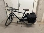 Pegasus Salerno 57cm (almost new), Fietsen en Brommers, Fietsen | Heren | Herenfietsen, 53 tot 57 cm, Ophalen, Zo goed als nieuw