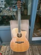 Eastman AC312CE – massief hout – Fishman pickup incl case, Ophalen, Gebruikt, Western- of Steelstringgitaar