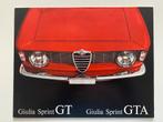 Alfa Romeo Giulia Sprint / Sprint GTA Brochure 1964, Boeken, Auto's | Folders en Tijdschriften, Ophalen of Verzenden, Zo goed als nieuw