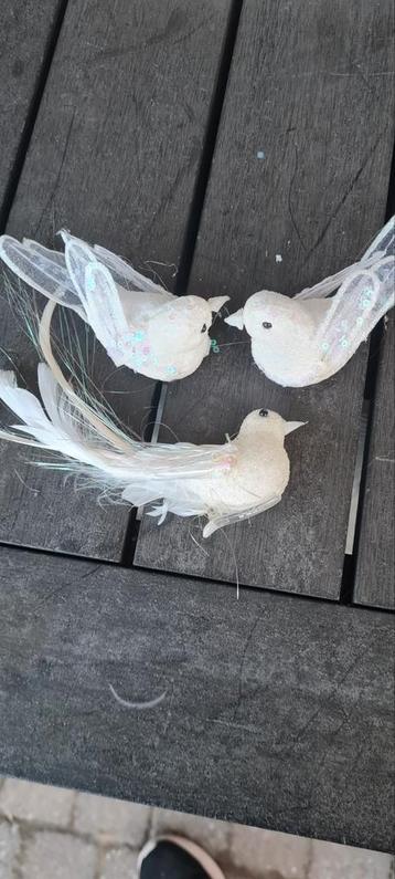 Vintage vogeltjes beschikbaar voor biedingen