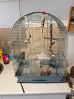 vogelkooi, Dieren en Toebehoren, Ophalen, Zo goed als nieuw, Metaal, Vogelkooi