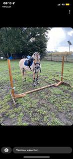 Houten staanders, Dieren en Toebehoren, Stalling en Weidegang
