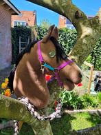 Knappe IW Hobbyhorse, Ophalen of Verzenden, Gebruikt