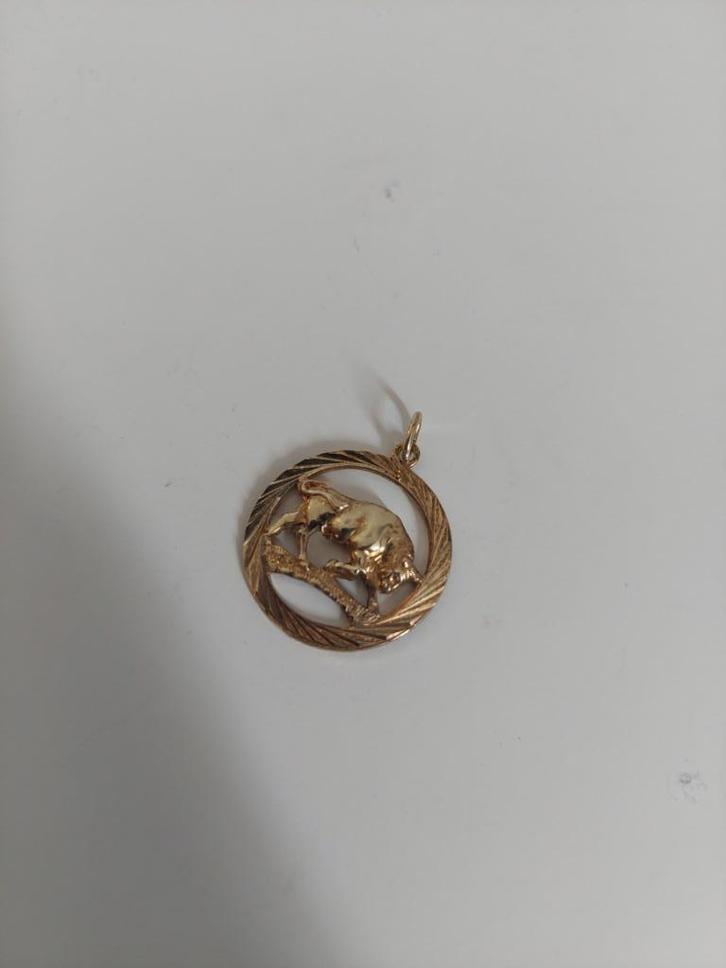 Onedelen stier in cirkel hangertje, Sieraden, Tassen en Uiterlijk, Kettinghangers, Nieuw, Overige materialen, Zilver, Overige voorstellingen