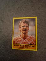 Panini sticker Voetbal 90. Adrie van Tiggelen Nederland., Verzenden, Zo goed als nieuw, Sticker