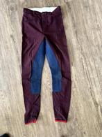paardrijbroek 174 bordeau rood, Gebruikt, Kinderen, Recreatie, Onderkleding