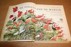 Dikke pil. De vogels van de werel. Rijk geïllustreerd., Ophalen of Verzenden, Gelezen, Vogels