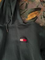 Tommy hilfiger trui maat L, Maat 52/54 (L), Tommy Hilfiger, Ophalen of Verzenden, Zo goed als nieuw