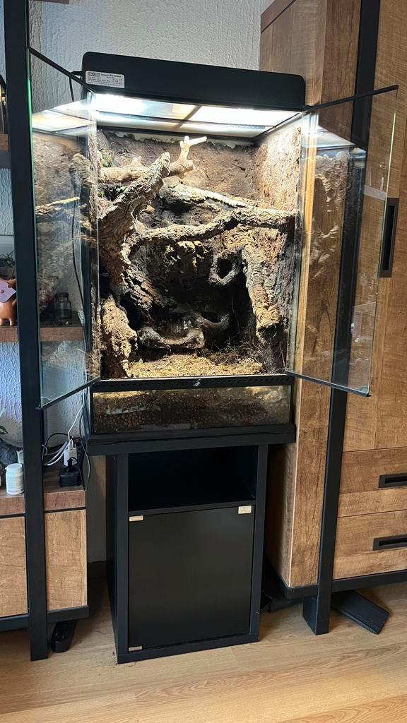 Exo Terra 60 * 45 * 90 compleet, Dieren en Toebehoren, Reptielen en Amfibieën | Toebehoren, Gebruikt, Ophalen