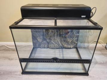 Terrarium Exo Terra 60x45x45  beschikbaar voor biedingen