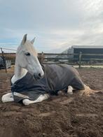 Verzorg(st)er gezocht, Dieren en Toebehoren, Ophalen of Verzenden, Nieuw