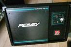 2 PEAVEY monitor 100 Watt Amplifier floor boxen, Muziek en Instrumenten, Versterkers | Keyboard, Monitor en PA, Ophalen, Gebruikt