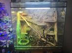 :::Te Koop Terrarium Groot LXHXB=100x100x60 :::, Ophalen, Gebruikt, Terrarium of Paludarium