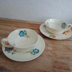 vintage kop en schotels petrus regout bloemmotief, Antiek en Kunst, Antiek | Servies los, Ophalen of Verzenden