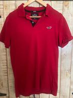 Hollister polo rood, Maat 48/50 (M), Ophalen of Verzenden, Zo goed als nieuw, Hollister