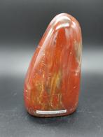 Versteend hout nr. 3, Ophalen of Verzenden, Fossiel