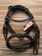 Hoofdstel Shetlander, Ophalen, Nieuw, Recreatie