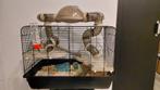 Complete Hamsterkooi + hamster, Dieren en Toebehoren, Kooi, Minder dan 75 cm, Zo goed als nieuw, Hamster