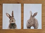 Muur foto tekening konijn / haas babykamer bruin schilderij, Ophalen of Verzenden, Zo goed als nieuw